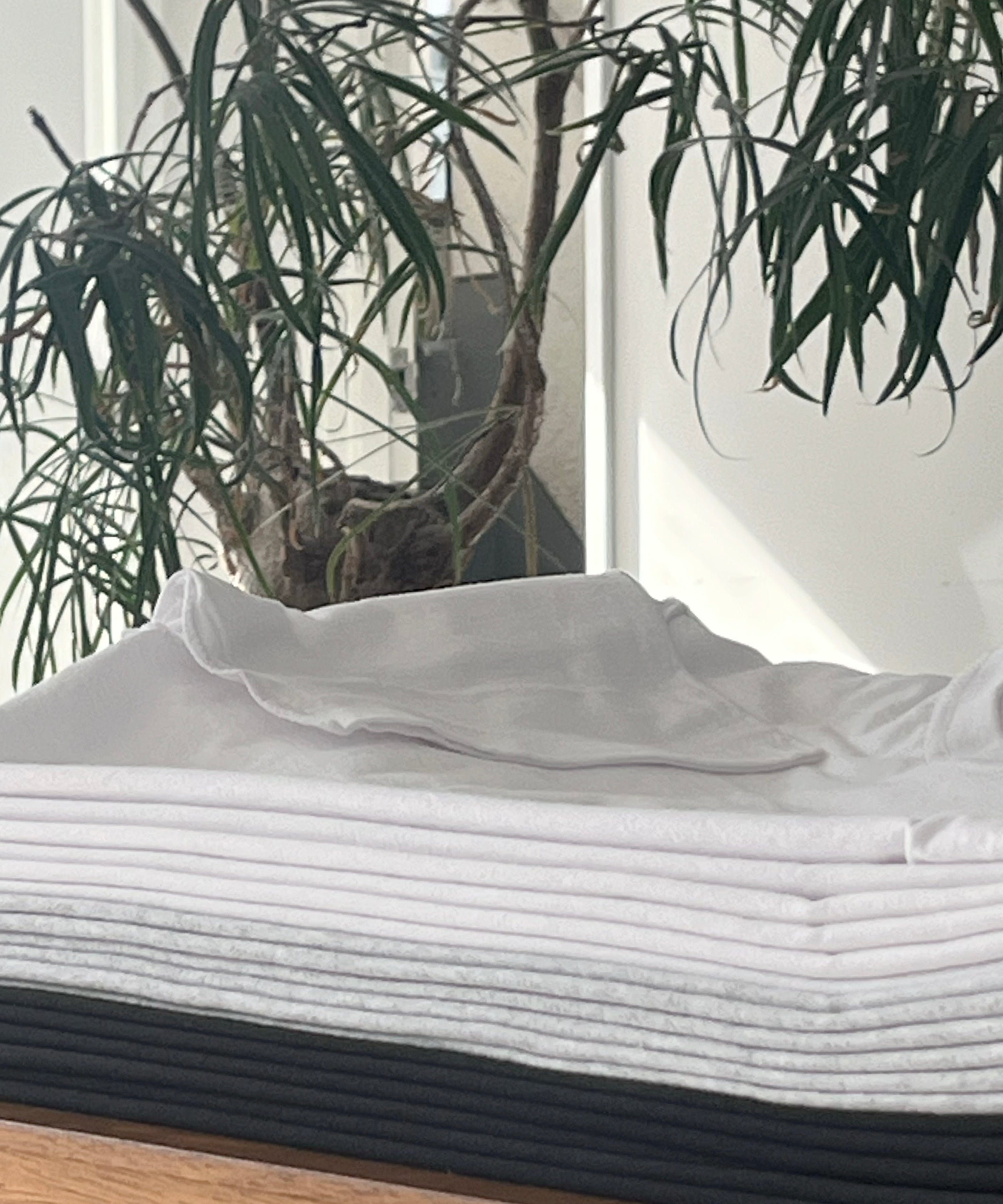 UNUSED Us2025 fruit of the loom×unused 2pack t-shirt "WHITE×WHITE"