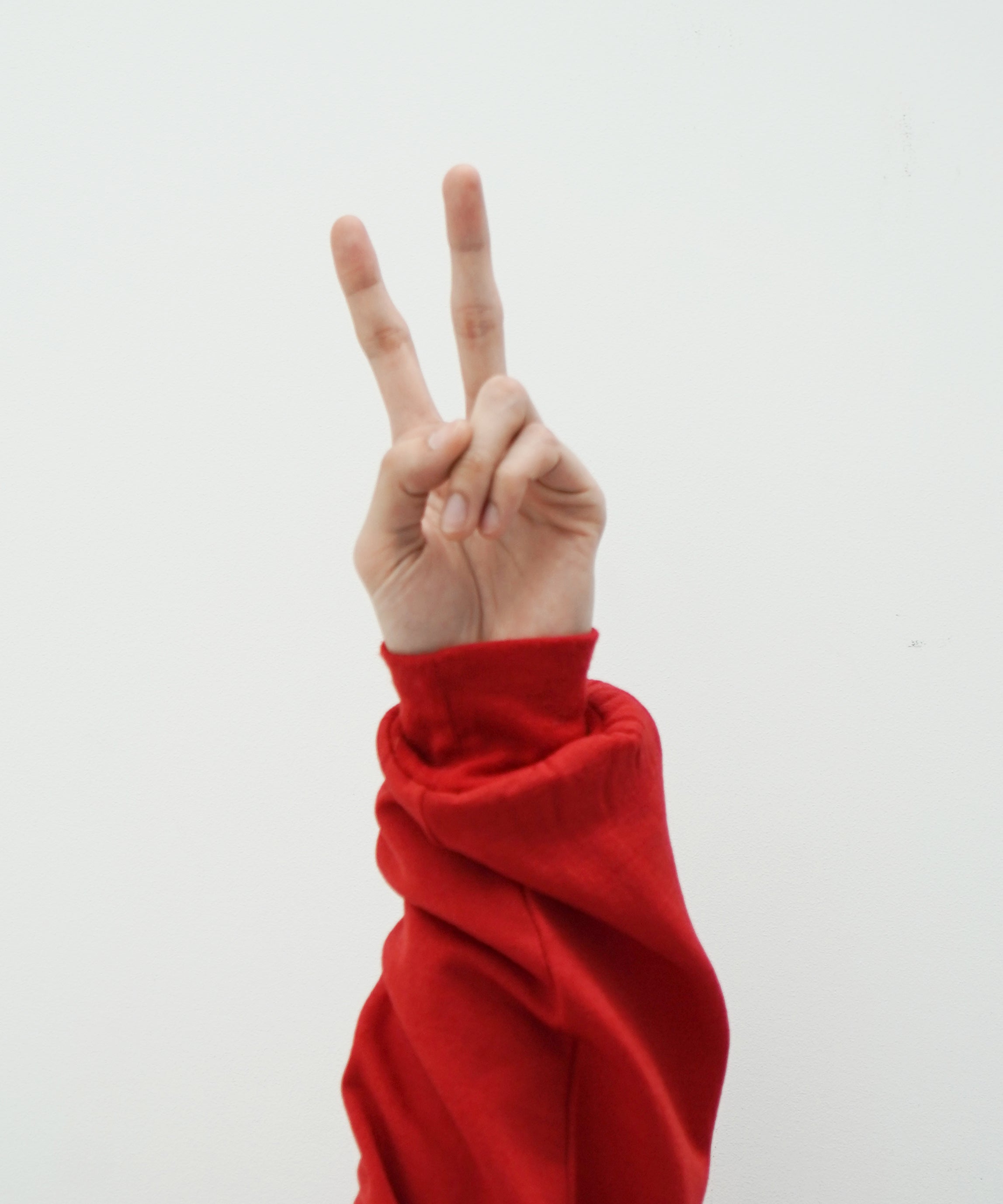 AURALEE Light wool sweat p/o "RED"