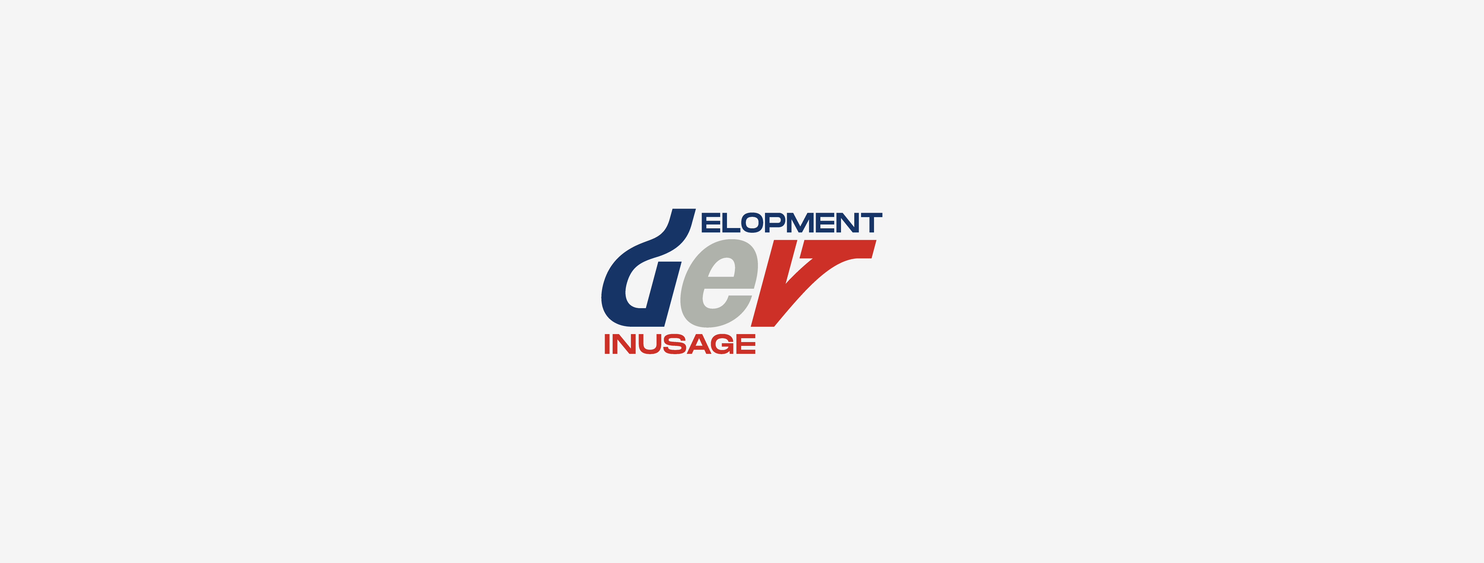 DEVINUSAGE ディベロップメントインアスエイジ