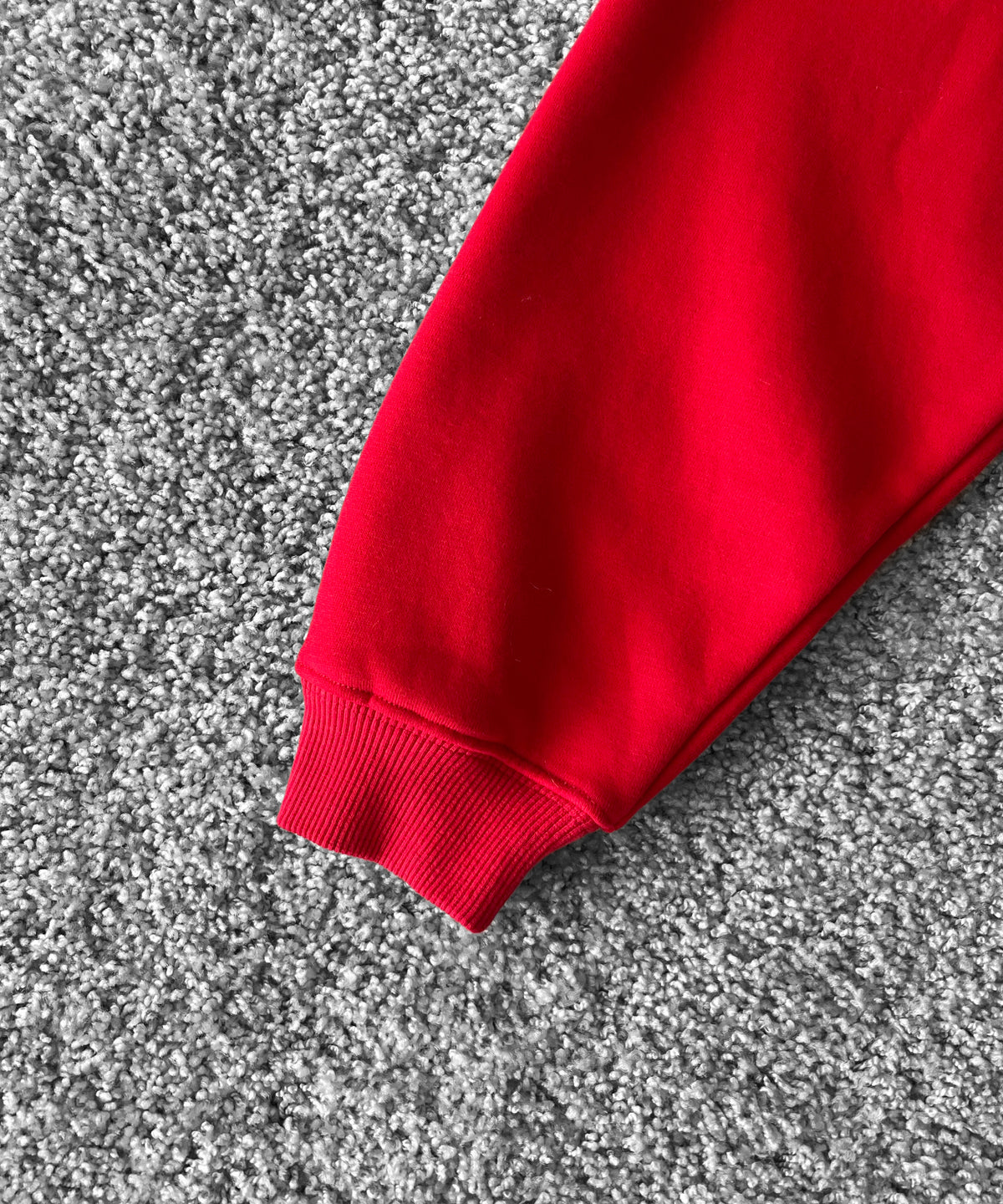 Evisen Skateboardsゑ College sweat "RED"