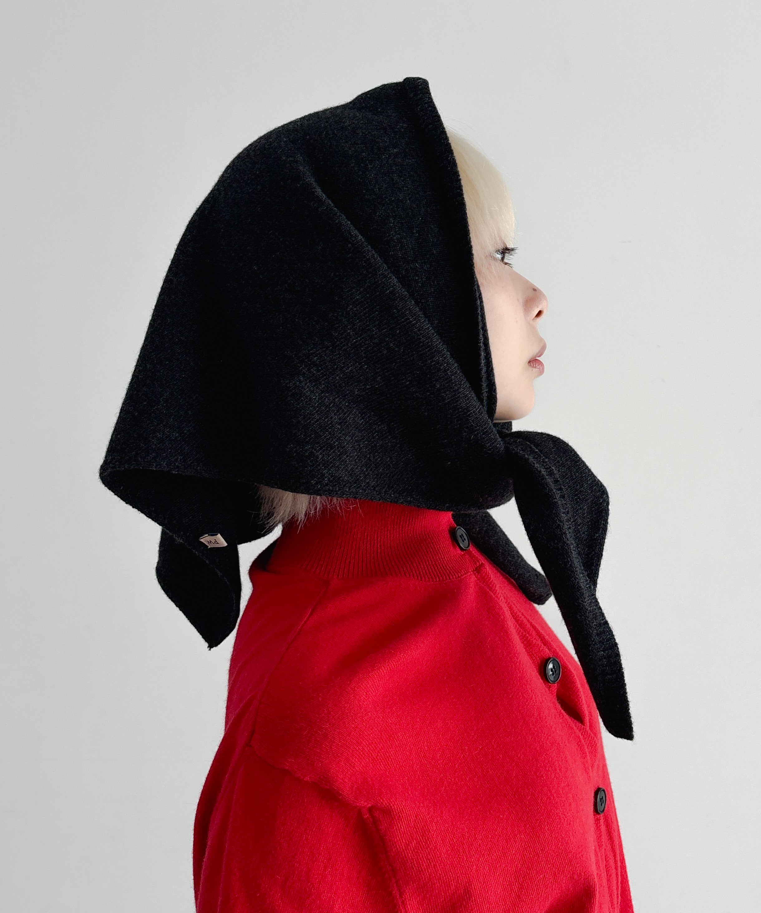 パロマウール palomawool 25AW】PALOMAWOOL パロマウール / SOFRE / ニット | TRENT online